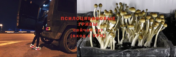 наркотики Алексин