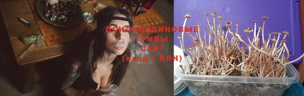 а пвп мука Алексеевка