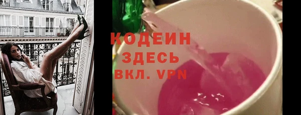 ECSTASY Алзамай