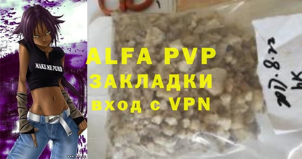 ECSTASY Алзамай