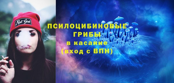 ECSTASY Алзамай
